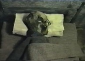 BG