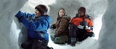 Снеговики