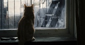 Внутри Льюина Дэвиса