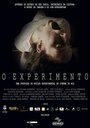 O Experimento