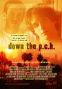 Down the P.C.H. (2006)