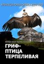 Гриф – птица терпеливая