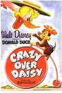 Crazy Over Daisy