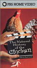 The Natural History of the Chicken