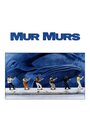 Mur murs