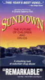 Sundown: The Future of Children and Drugs (1991)