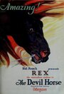 The Devil Horse (1926)