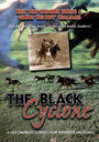 Black Cyclone