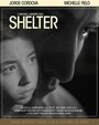 Shelter