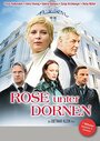 Rose unter Dornen