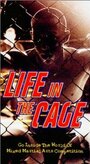 Life in the Cage