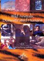 Wild Animals, Domesticated Humans