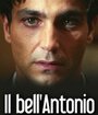 Il bell'Antonio