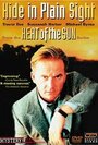 Heat of the Sun