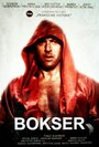 Bokser