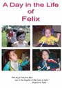 A Day in the Life of Felix (2008)