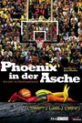 Phoenix in der Asche