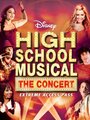 High School Musical: The Concert - Extreme Access Pass