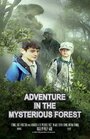 Adventure in the Mysterious Forest