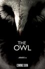 The Owl