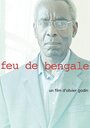 Feu de Bengale