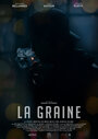 La graine