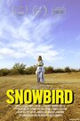 Snowbird