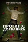 Проект X: Дорвались